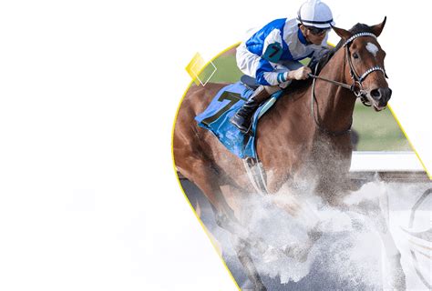 fanduel sportsbook and horse racing|fanduel horse racing states.